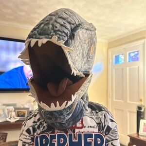 Like new. Dinosaur mask .